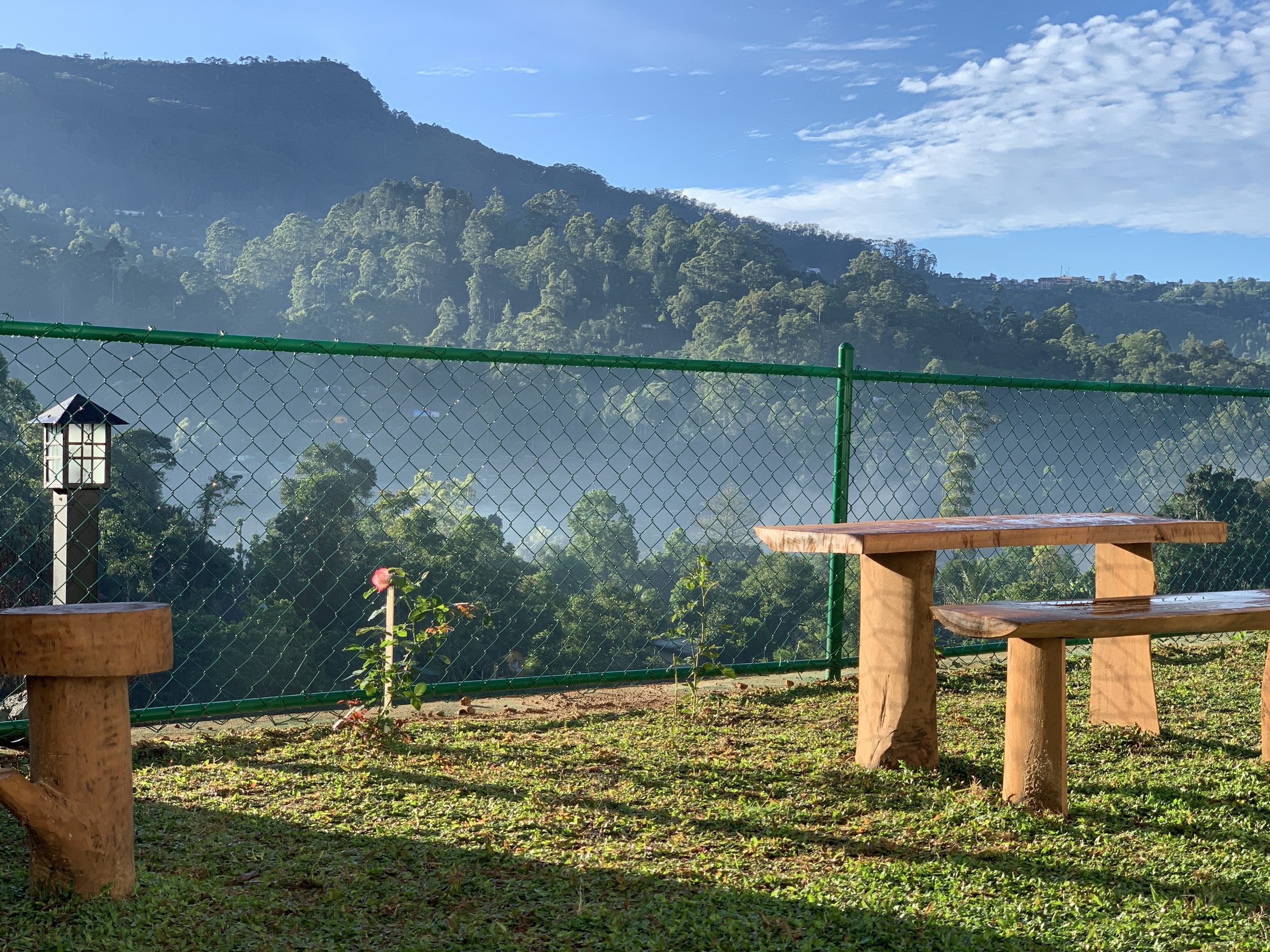 Lush greenery